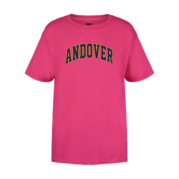 AHS Youth Pink T-Shirt