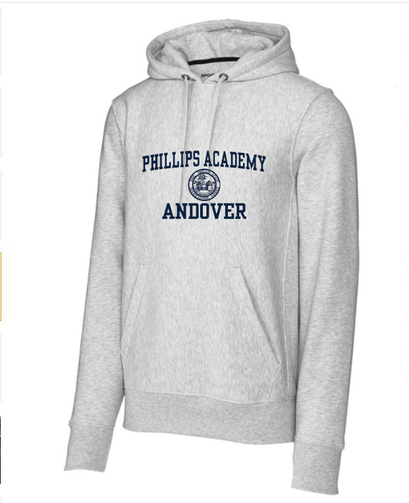 Classic Heavy Weight Grey Hoody