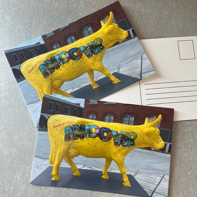 Andover Yellow Cow Postcards – Andover Collection