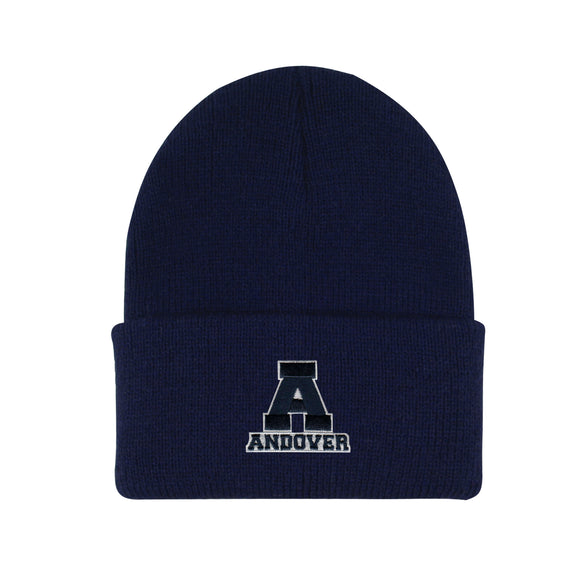 Navy Cuff Knit Hat