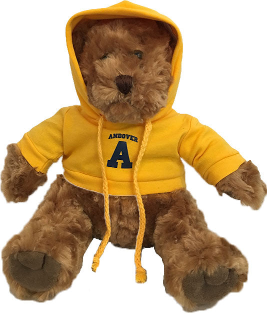 Teddy Bear with Hoody